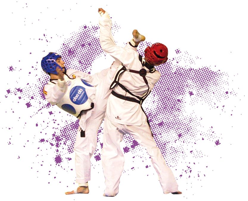 Taekwondo PNG    图片编号:70216