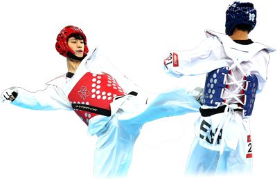 Taekwondo PNG    图片编号:70217