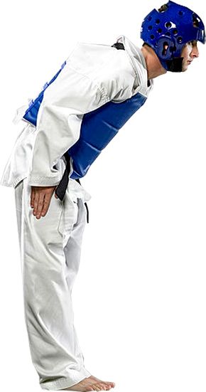 Taekwondo PNG    图片编号:70218