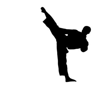 Taekwondo PNG    图片编号:70225