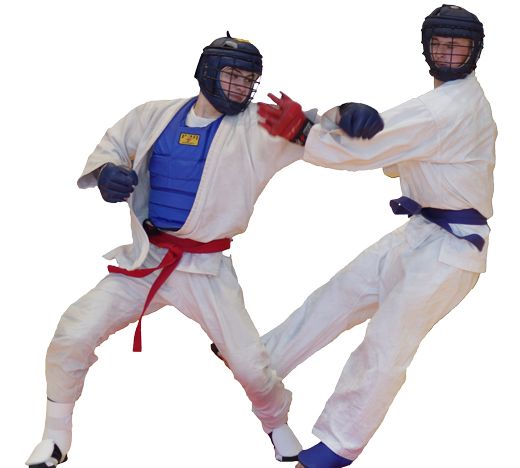 Taekwondo PNG    图片编号:70230