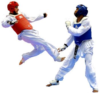 Taekwondo PNG    图片编号:70231