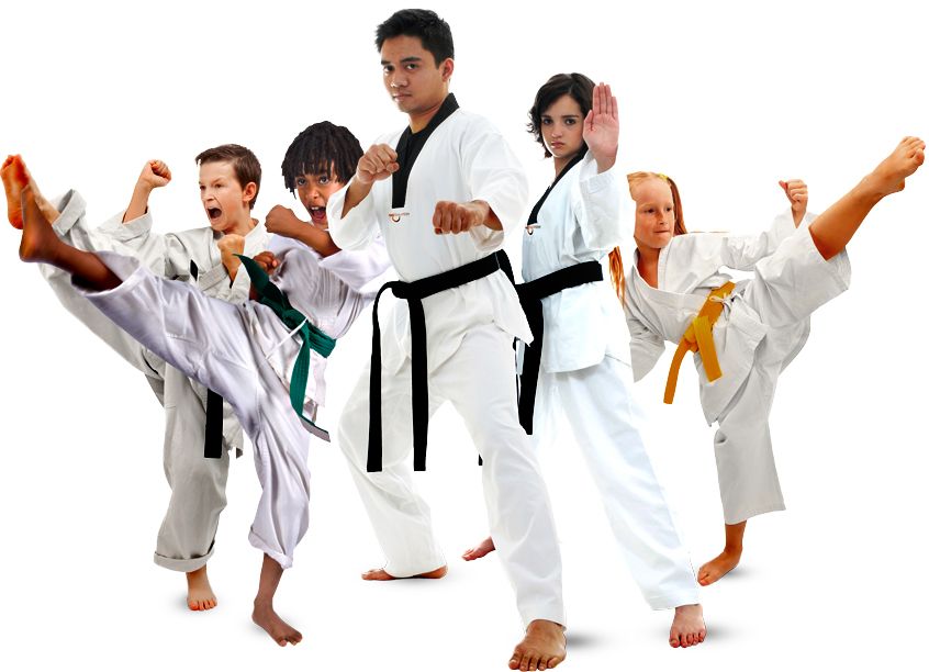 Taekwondo PNG    图片编号:70232
