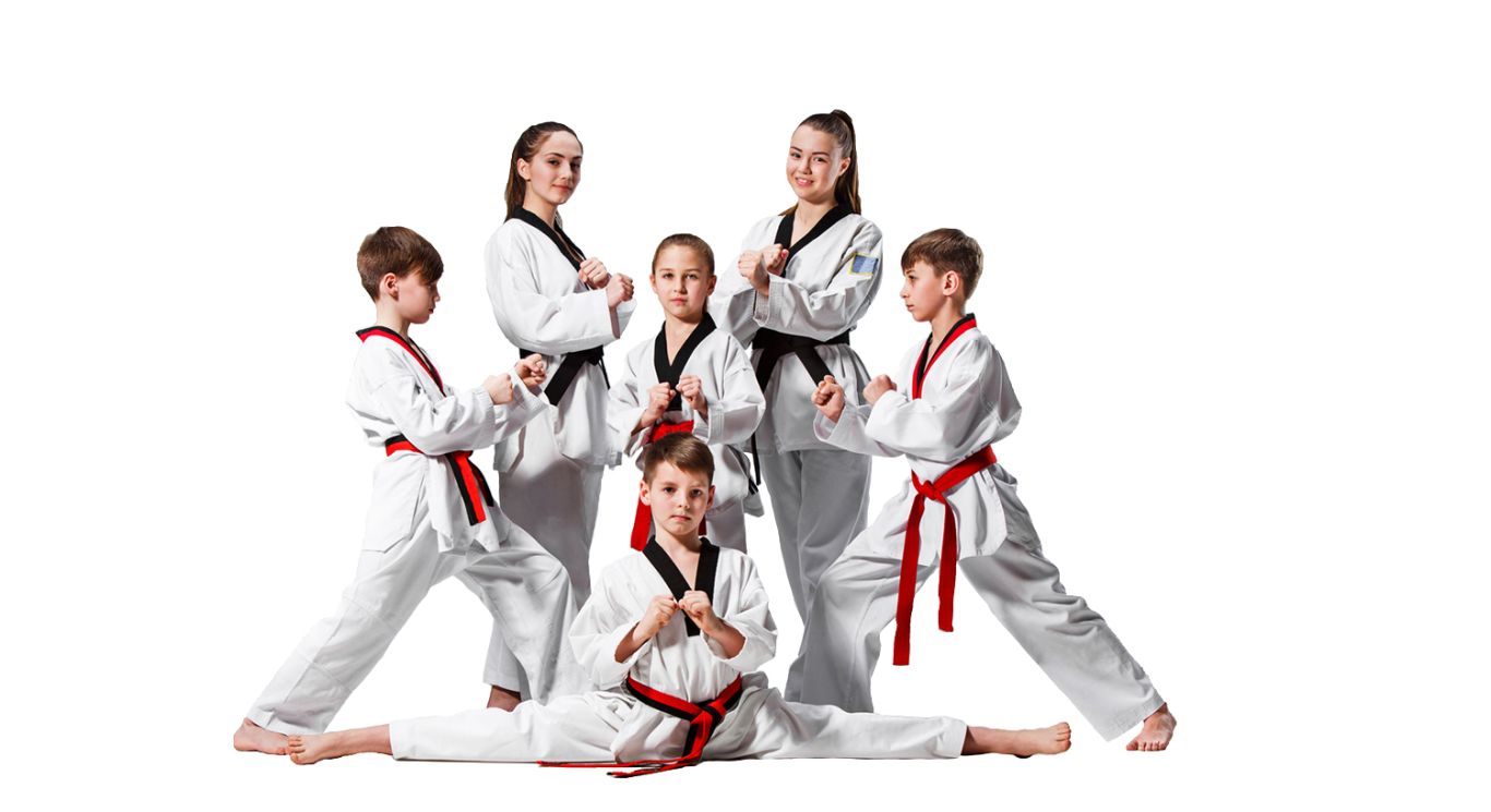 Taekwondo PNG    图片编号:70234