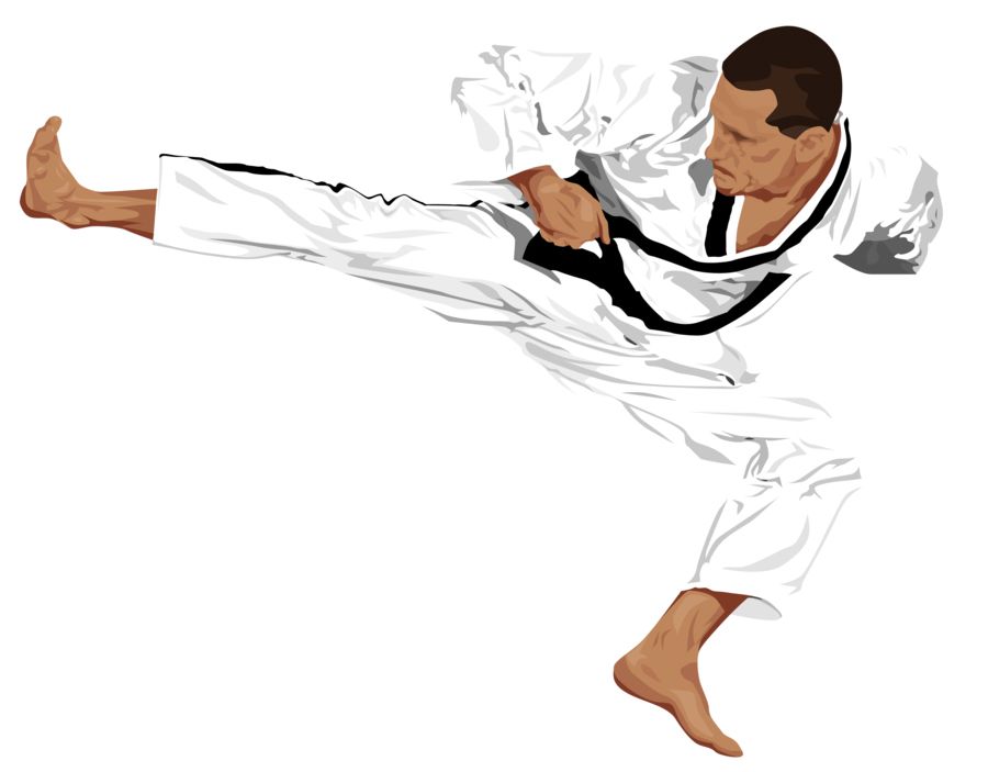 Taekwondo PNG    图片编号:70236