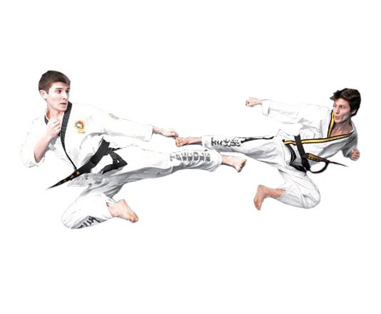 Taekwondo PNG    图片编号:70237