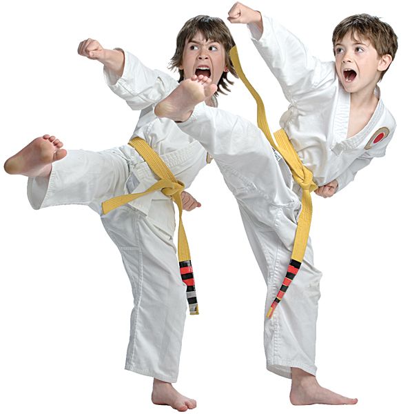 Taekwondo PNG    图片编号:70240