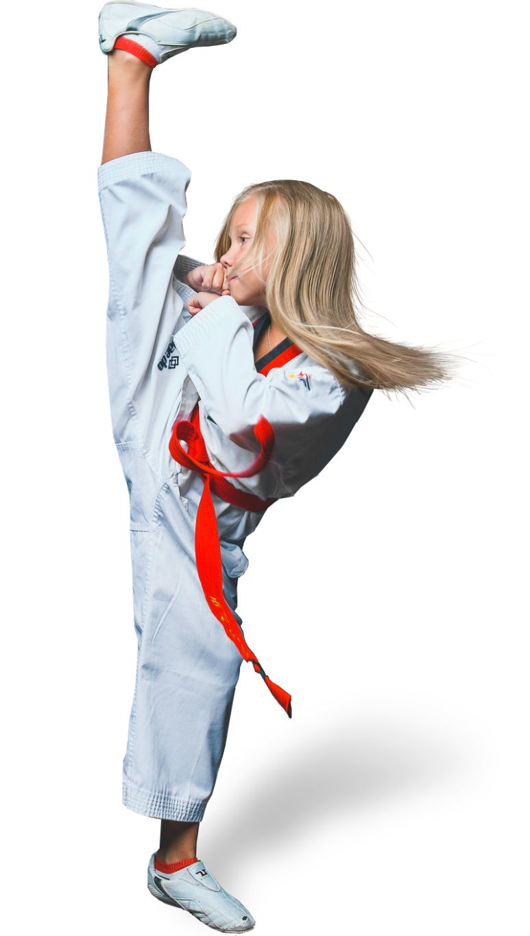 Taekwondo PNG    图片编号:70241