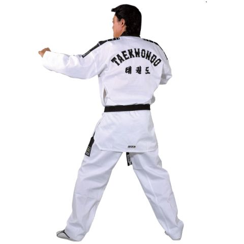 Taekwondo PNG    图片编号:70245