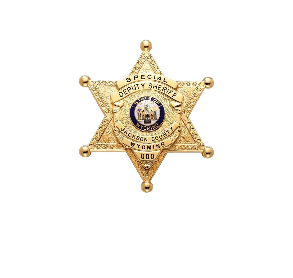 Sheriff badge PNG    图片编号:89253