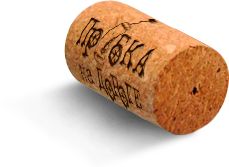 wine cork PNG    图片编号:97789