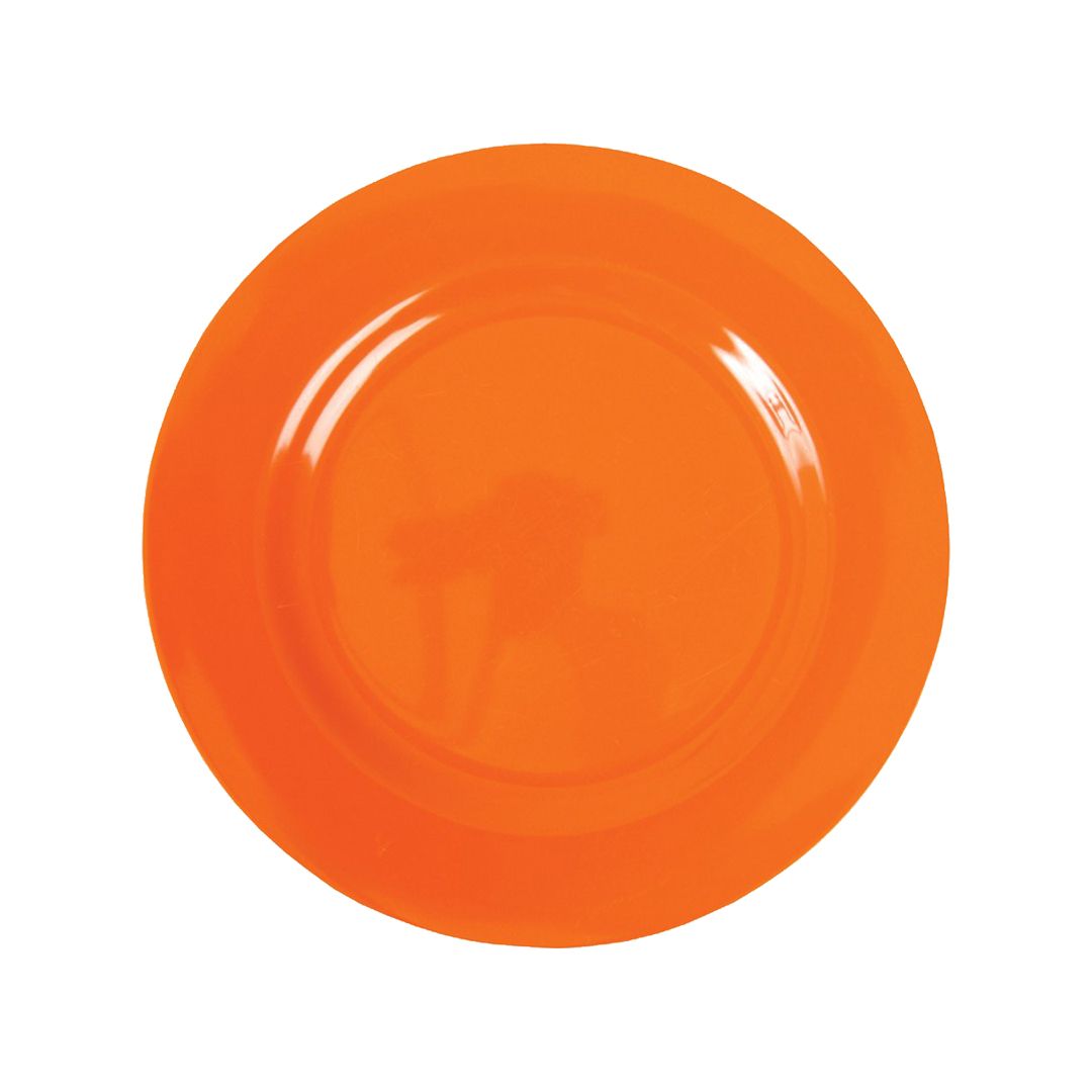 Ornage plate dish PNG image    图片编号:5331