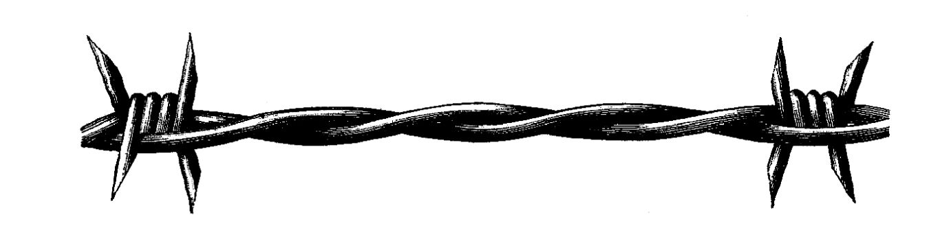 Barbwire PNG    图片编号:18881