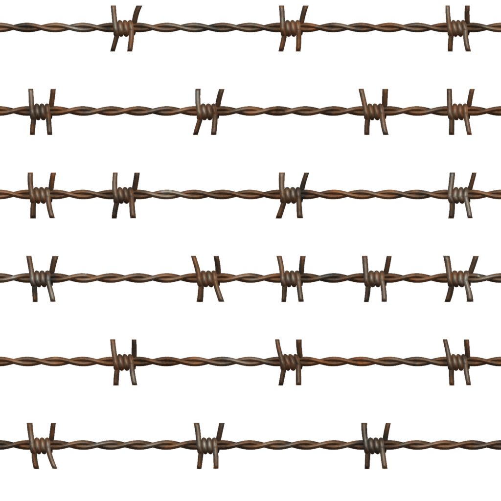Barbed wire PNG    图片编号:92222