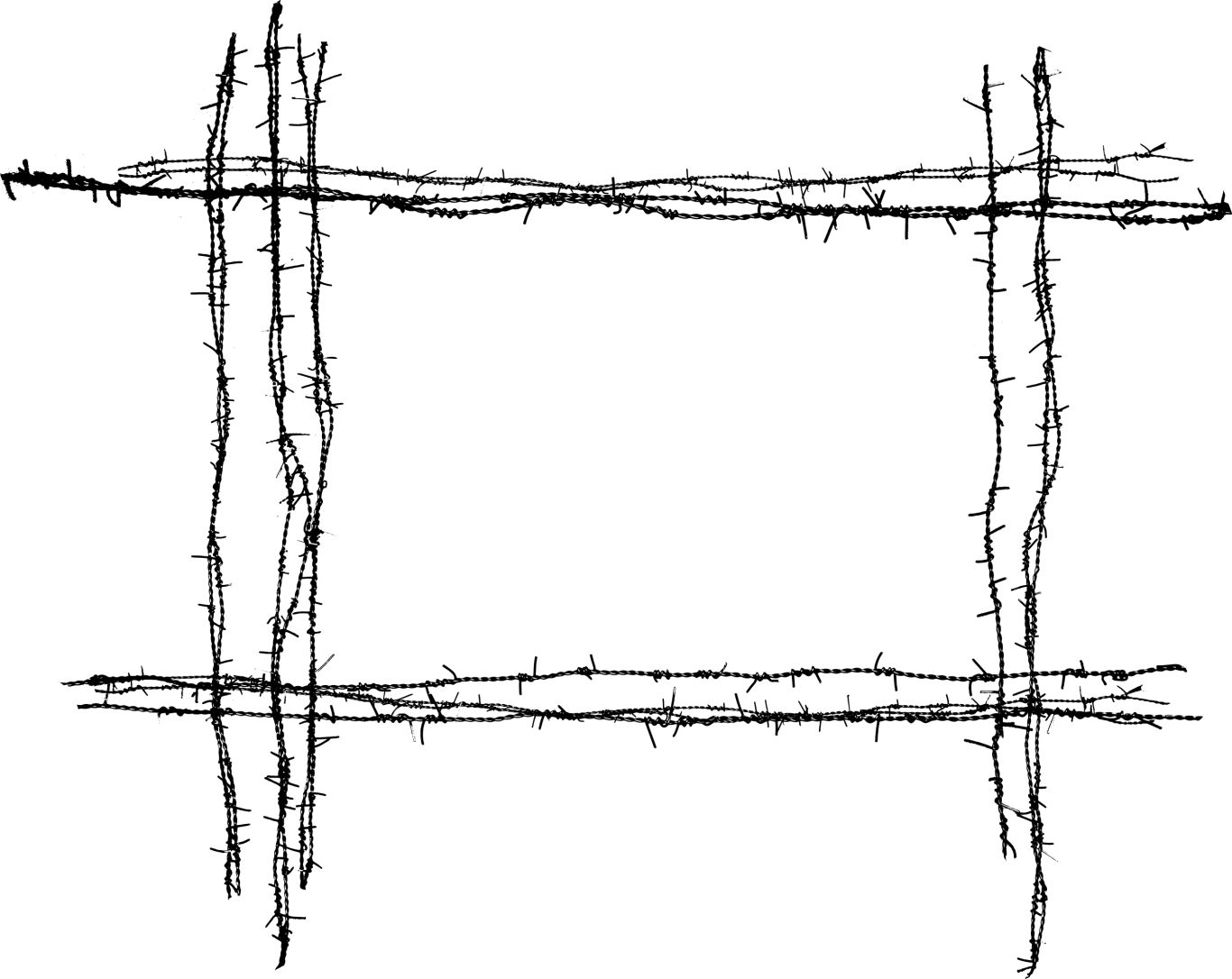 Barbed wire PNG    图片编号:92229