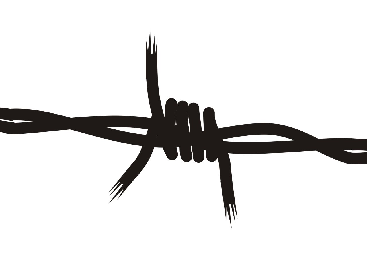 Barbed wire PNG    图片编号:92235