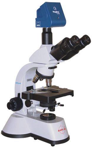 Microscope PNG    图片编号:25872