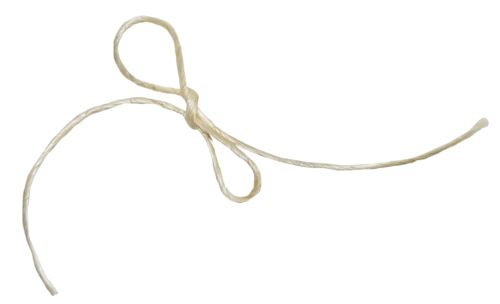 rope PNG    图片编号:18079