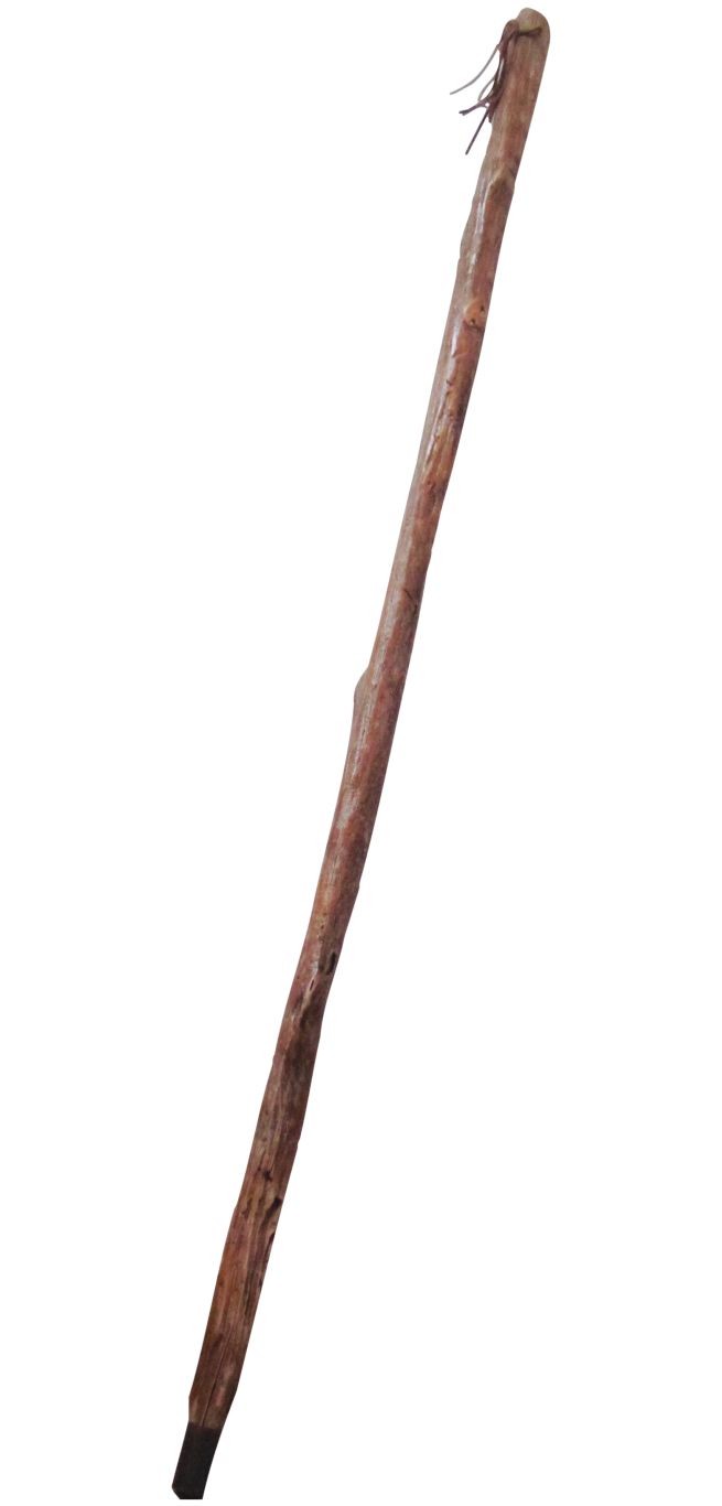 Walking stick PNG    图片编号:69089