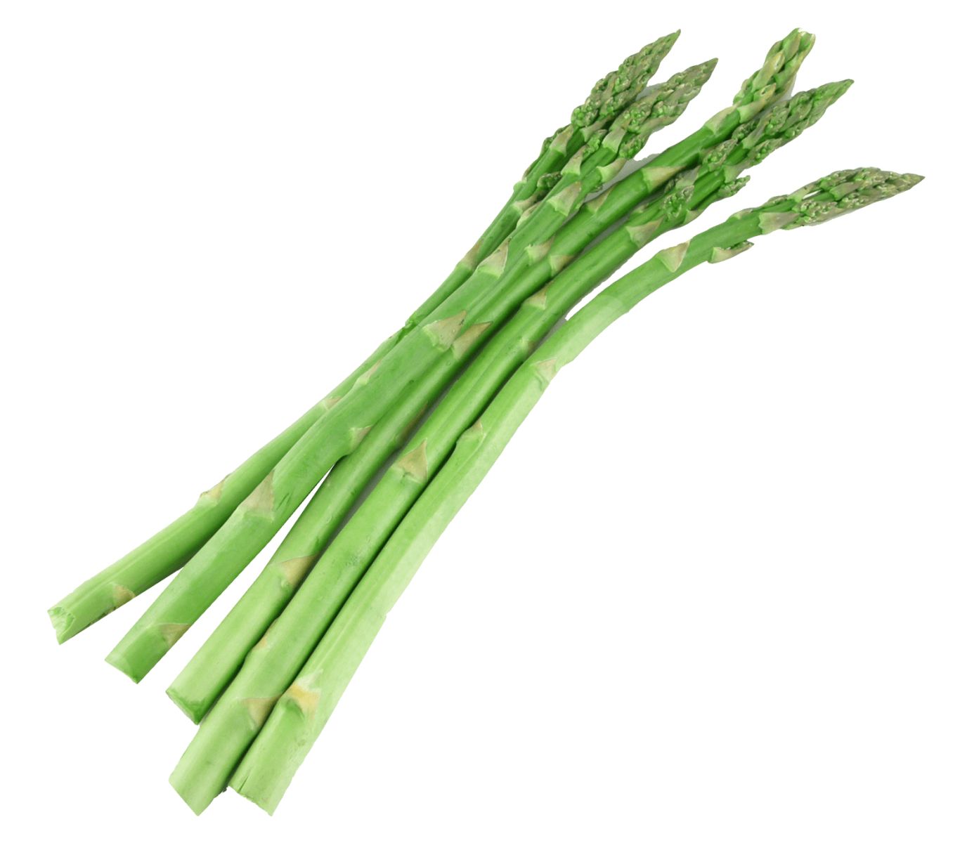 Asparagus PNG    图片编号:103954