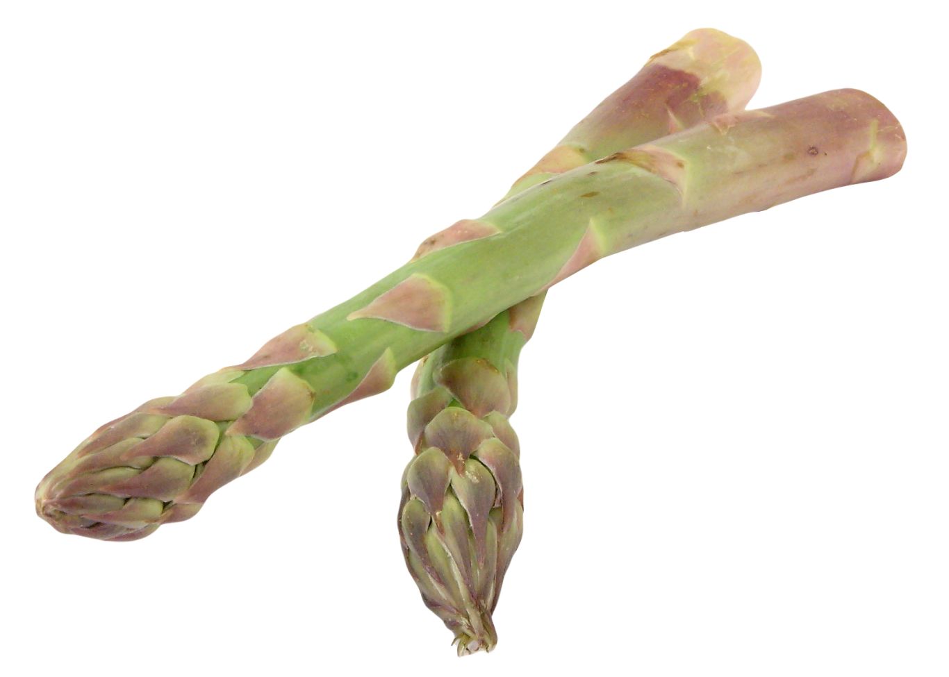 Asparagus PNG    图片编号:103956