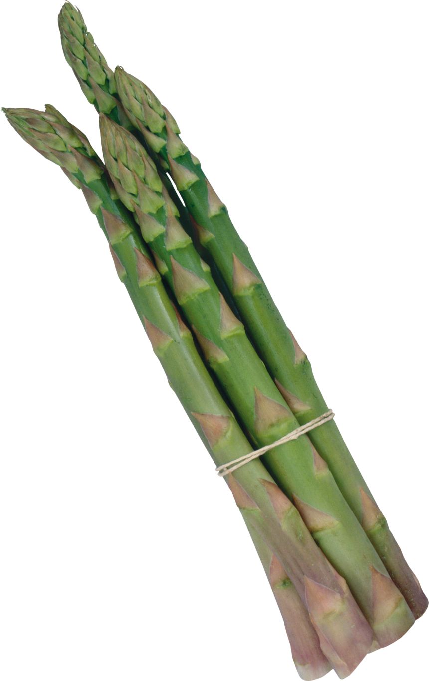 Asparagus PNG    图片编号:103959