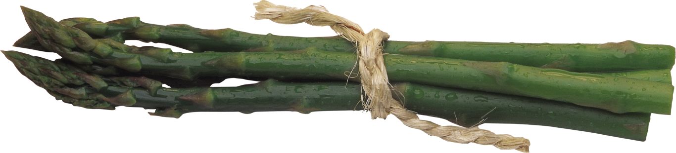 Asparagus PNG    图片编号:103973