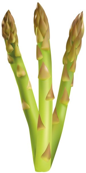 Asparagus PNG    图片编号:103949