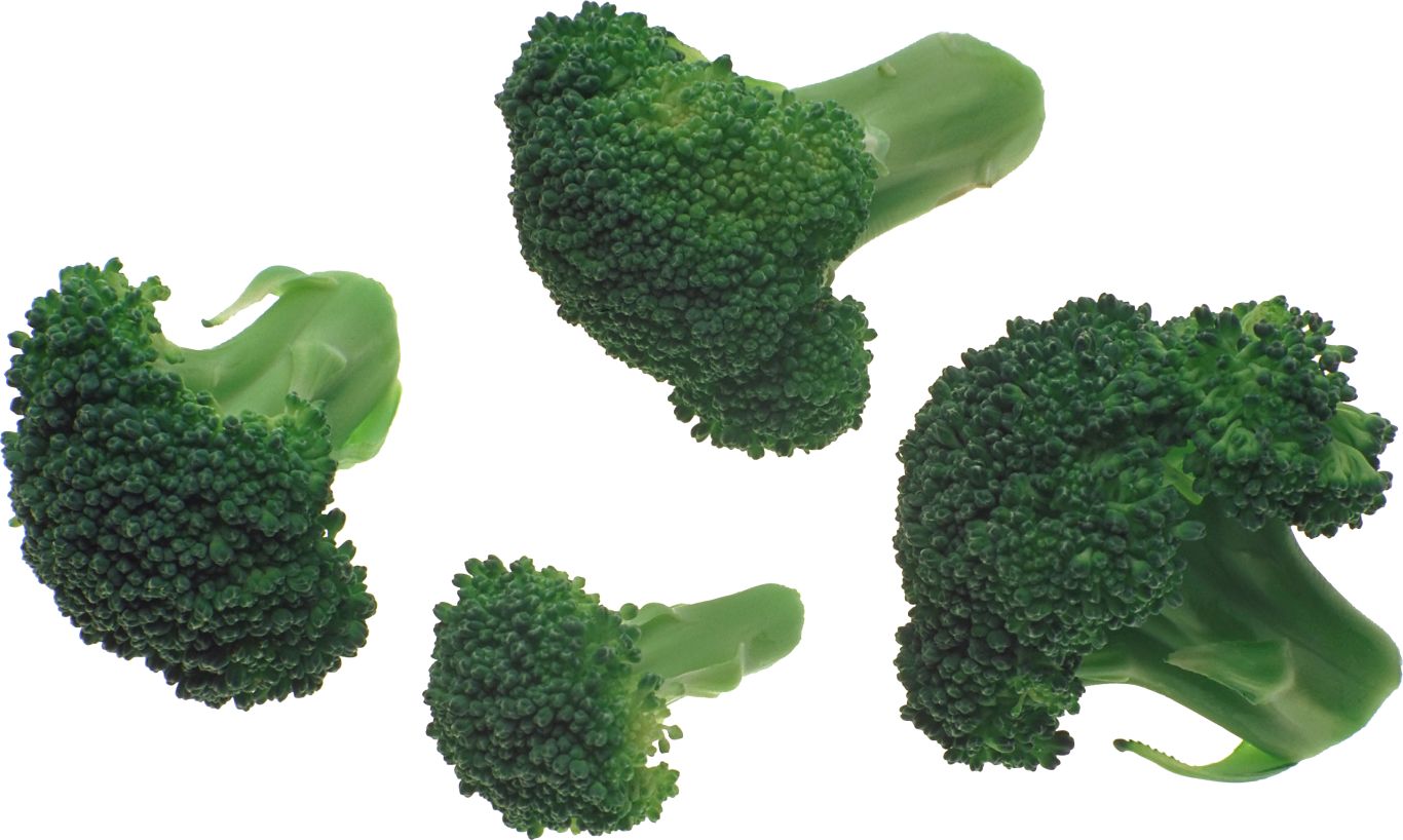 Broccoli PNG image    图片编号:2824