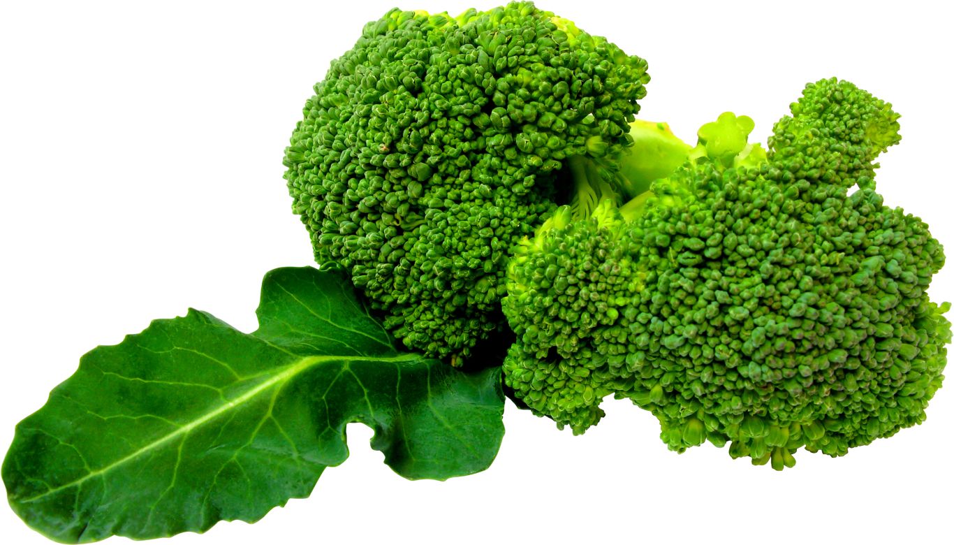 Green Broccoli PNG image    图片编号:2828