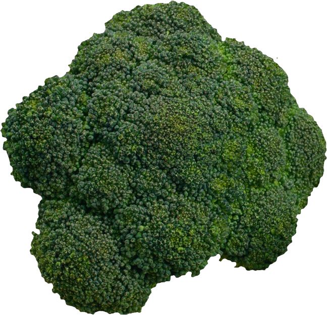 Broccoli PNG    图片编号:72855
