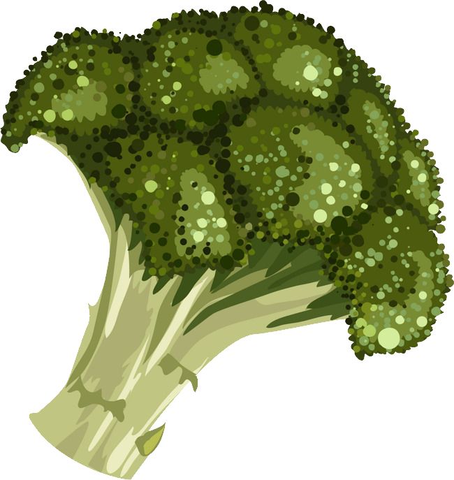 Broccoli PNG    图片编号:72856