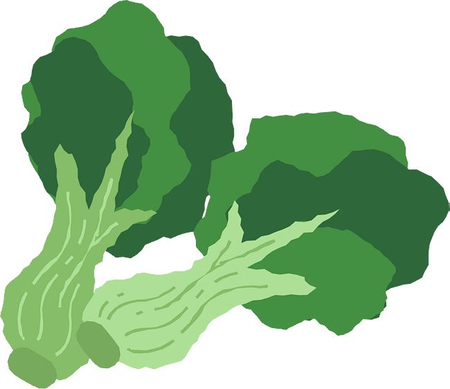 Broccoli PNG    图片编号:72860