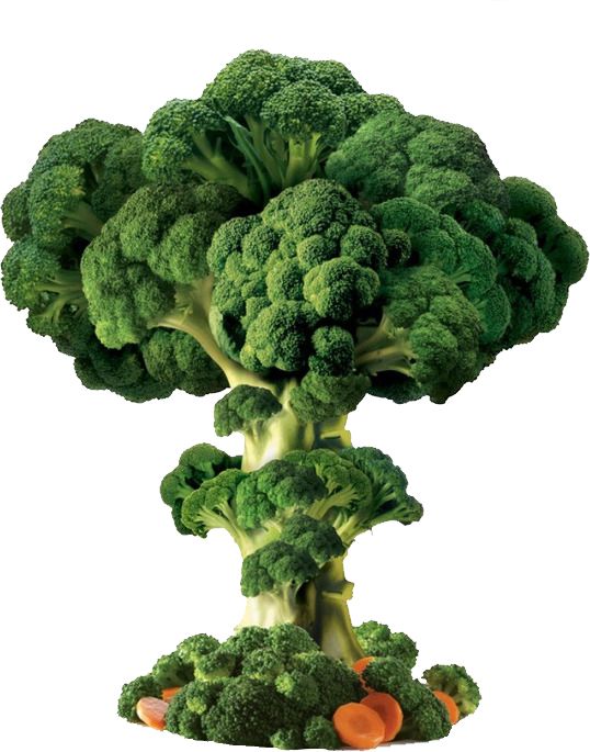 Broccoli PNG    图片编号:72861