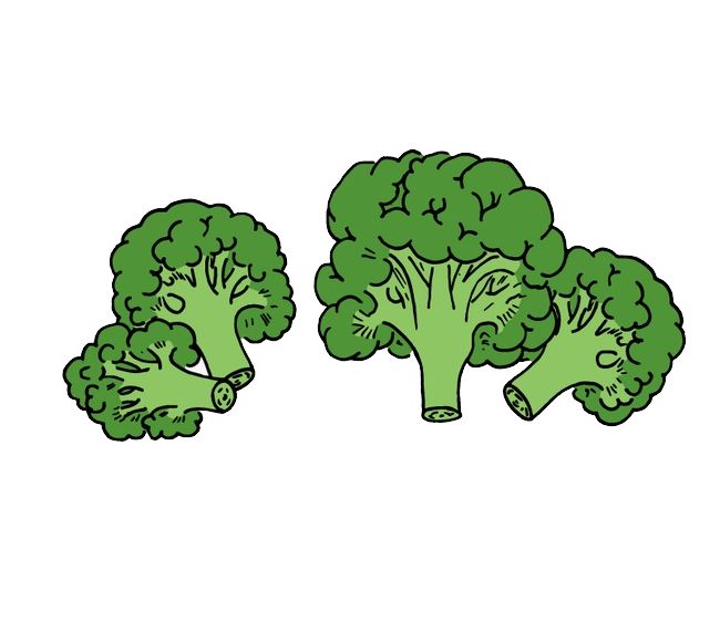 Broccoli PNG    图片编号:72862