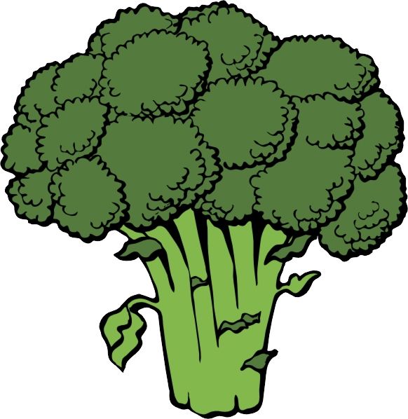 Broccoli PNG    图片编号:72864