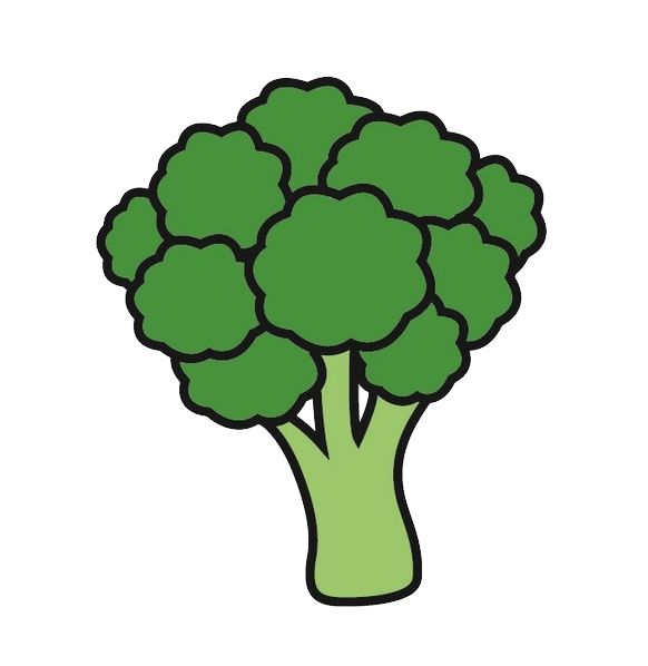 Broccoli PNG    图片编号:72865