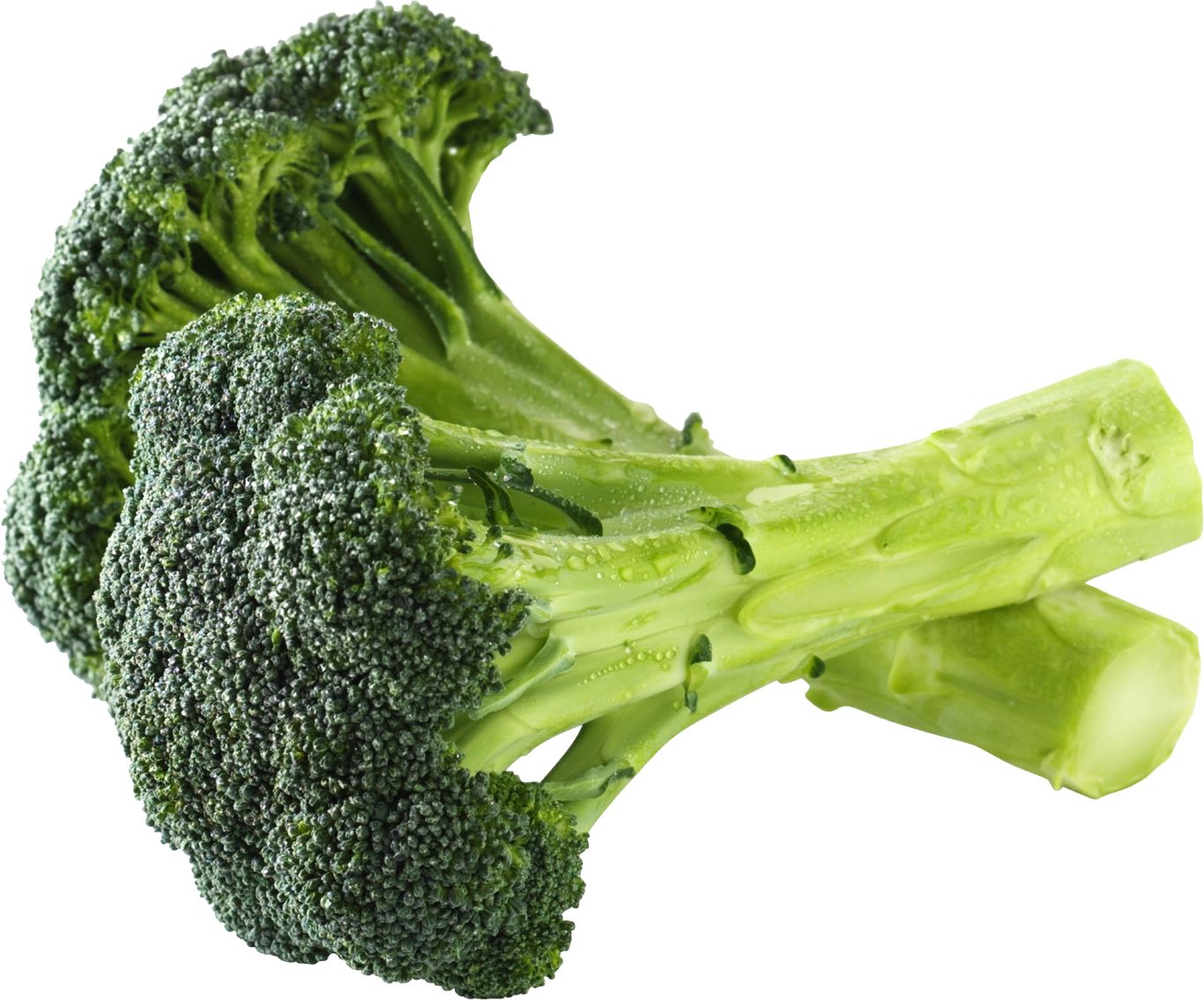 Broccoli PNG    图片编号:72867