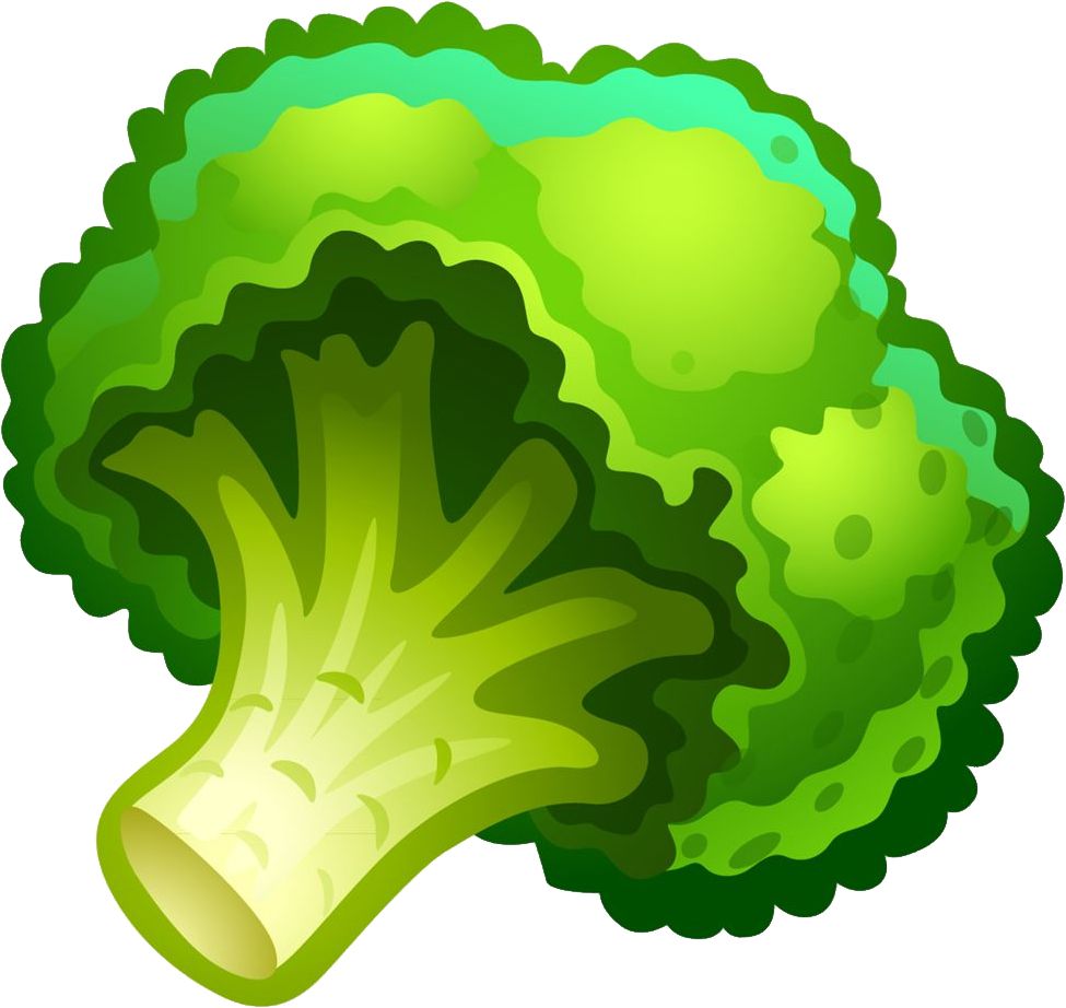 Broccoli PNG    图片编号:72868