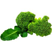 Broccoli PNG    图片编号:72869