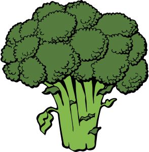 Broccoli PNG    图片编号:72872