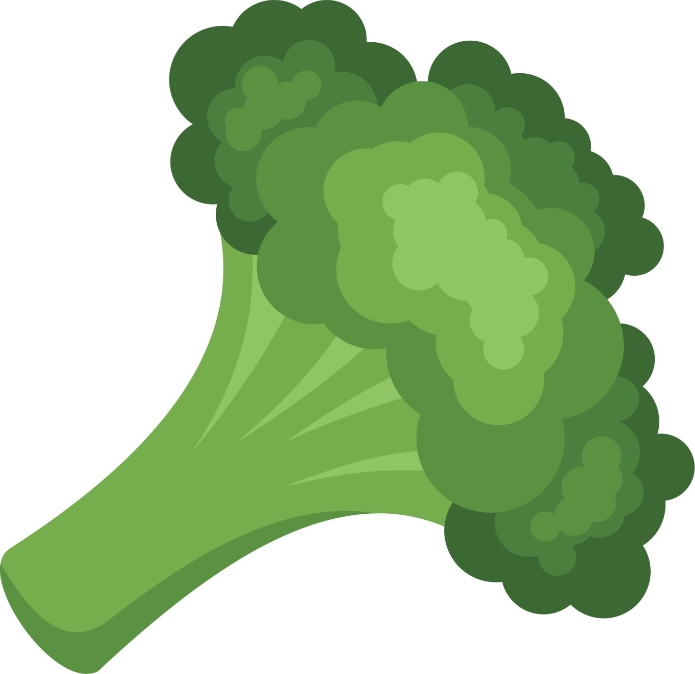 Broccoli PNG    图片编号:72873