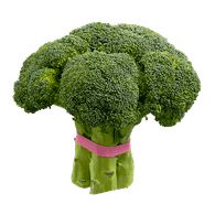 Broccoli PNG    图片编号:72876