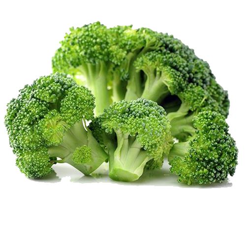 Broccoli PNG    图片编号:72877
