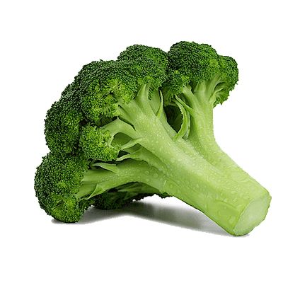 Broccoli PNG    图片编号:72881