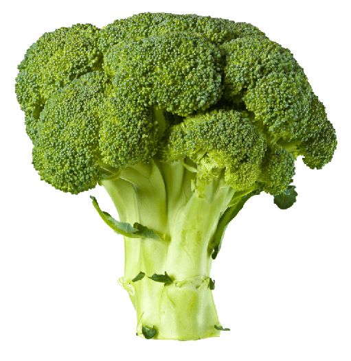 Broccoli PNG    图片编号:72882