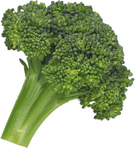 Broccoli PNG    图片编号:72886