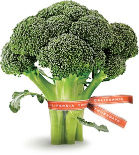 Broccoli PNG    图片编号:72890