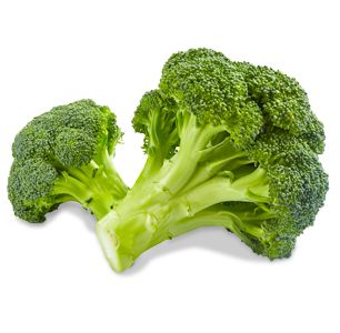 Broccoli PNG    图片编号:72894