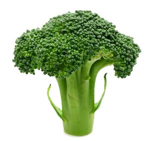 Broccoli PNG    图片编号:72895